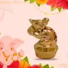 Multicolour LED Mushak For Ganpati Decorations
