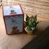 Gold Plated Eco Friendly LED Kalash For Pooja Mandir